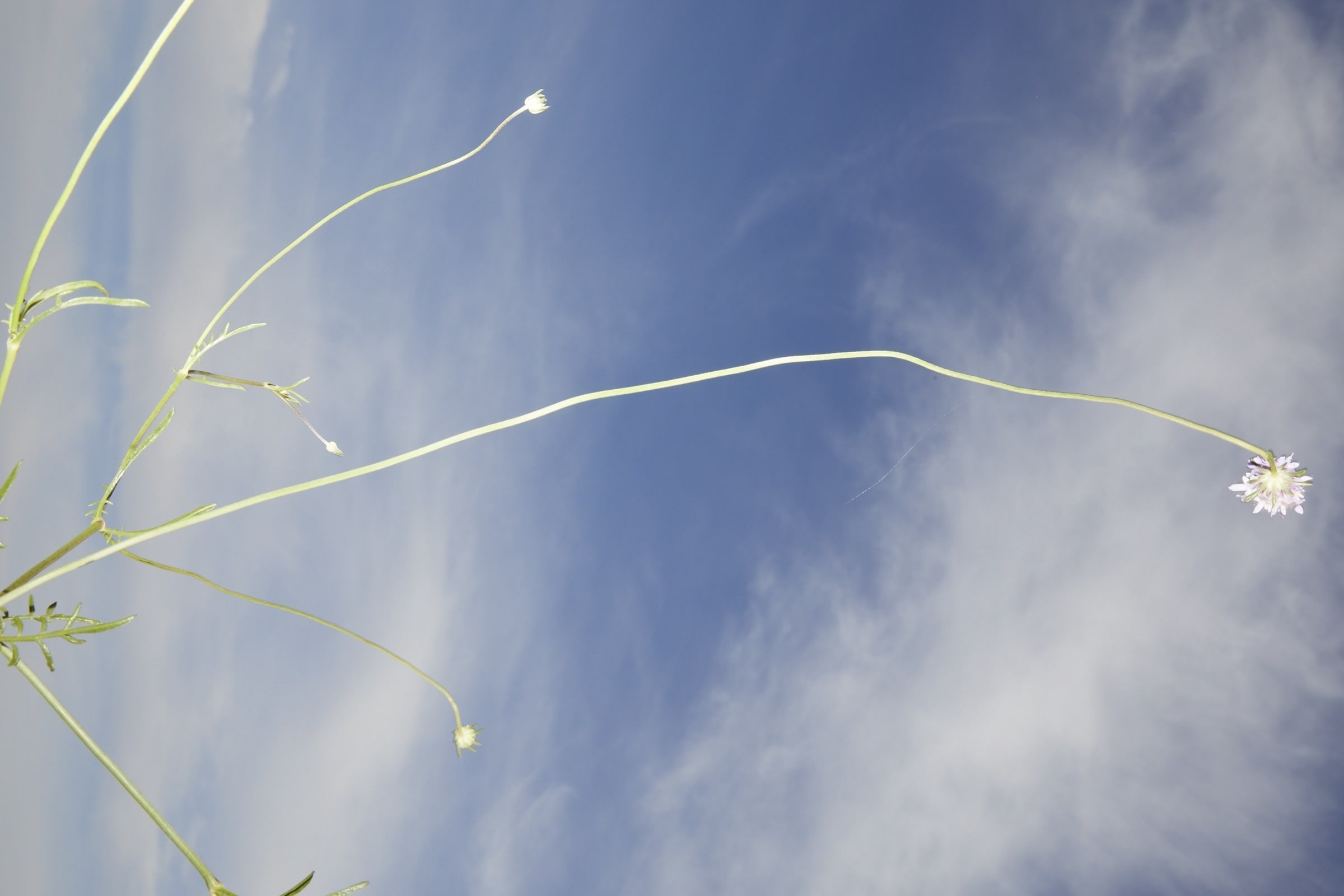 Portfolio image 54