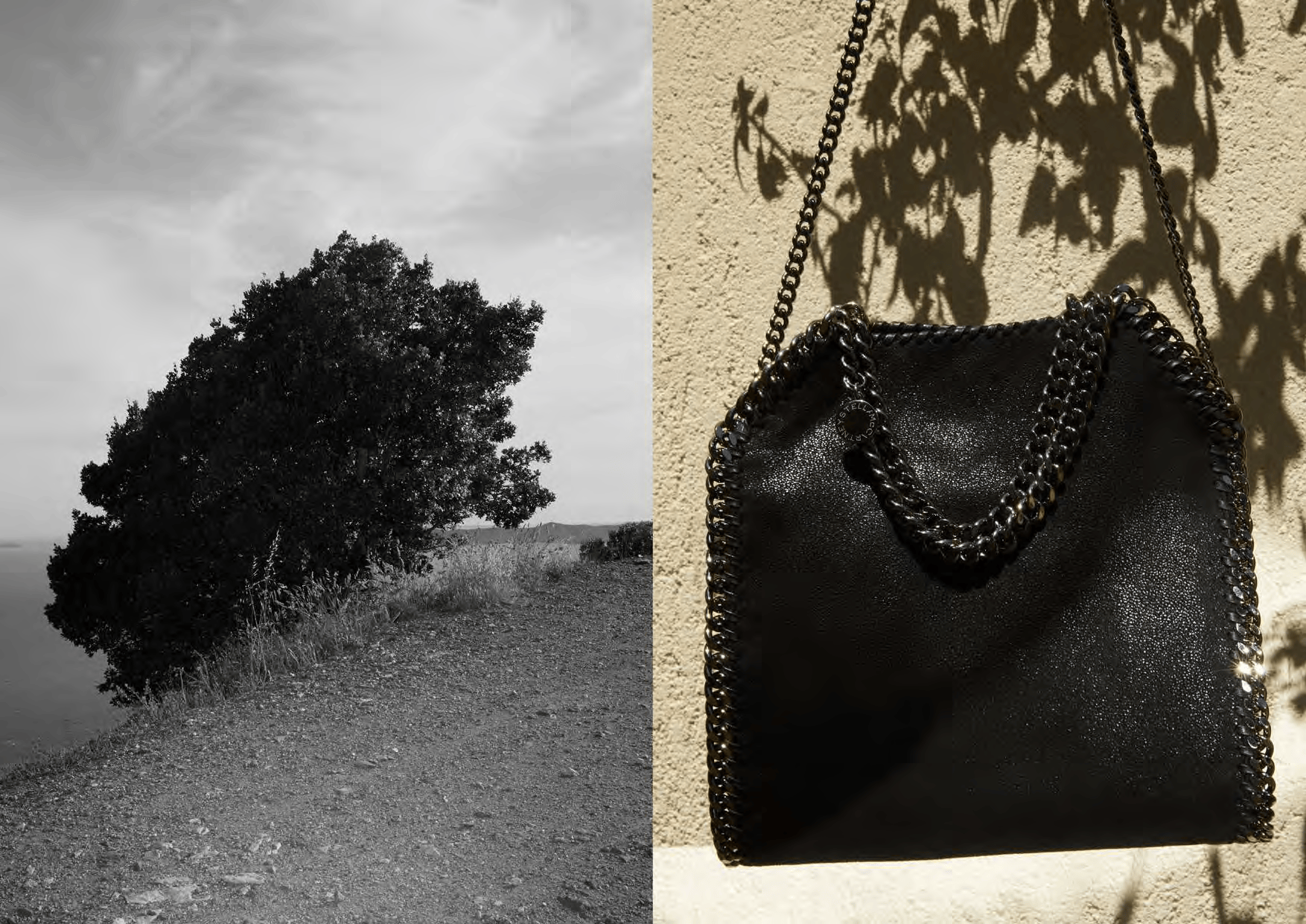 Portfolio image 23